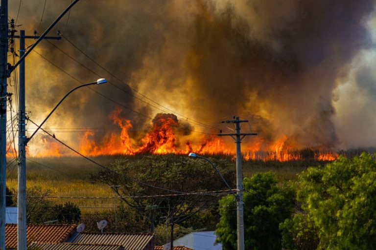 A blazing wildfire spreads through a field, emitting thick smoke.