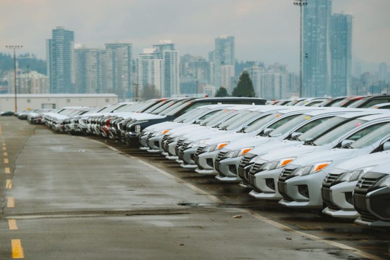 White cars lined up in a parking lot with a city skyline backdrop.