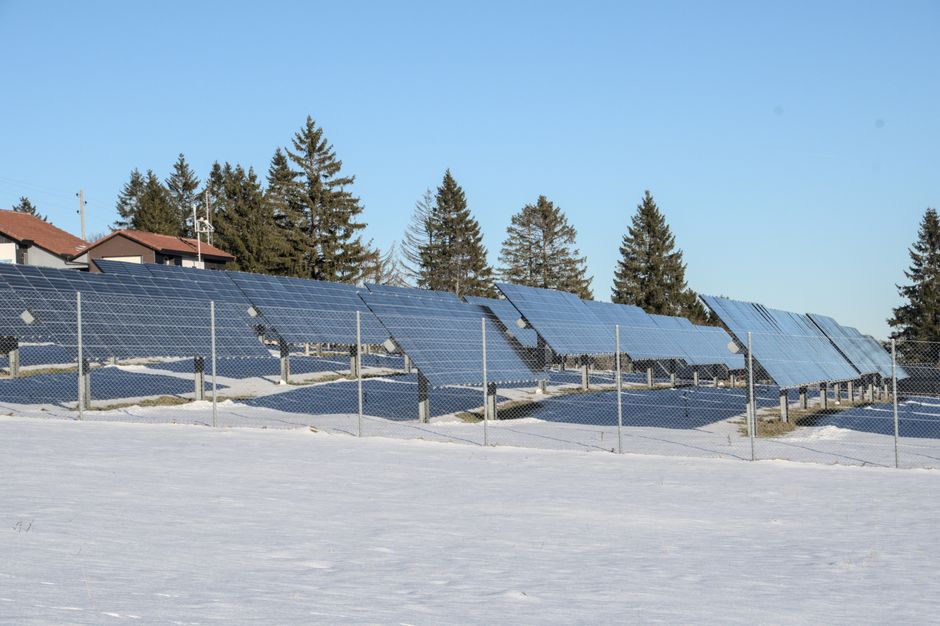 Solar panels in a snowy field with evergreen trees in the background.