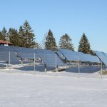 Solar panels in a snowy field with evergreen trees in the background.
