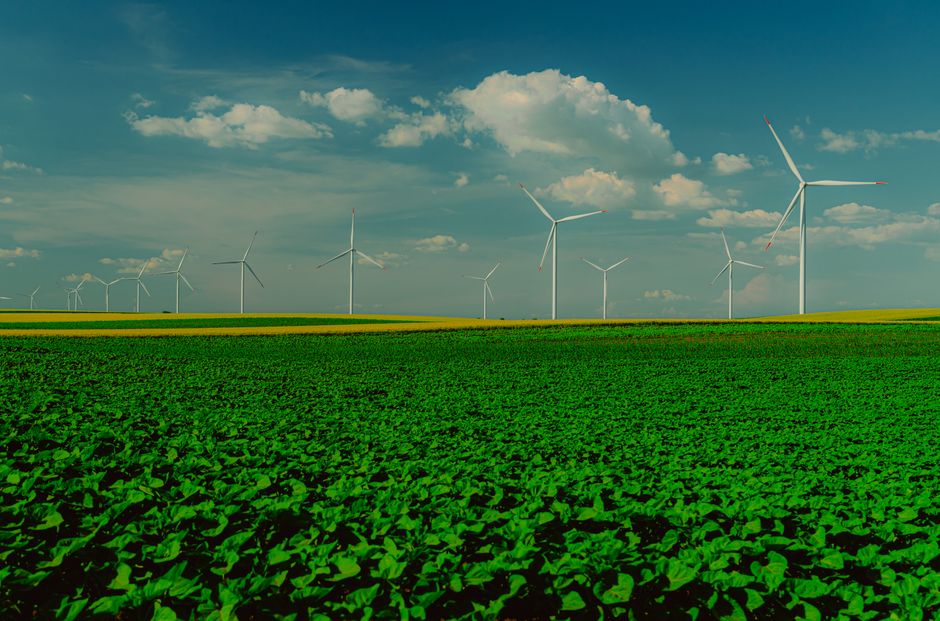 Panoramic view of wind turbines in a lush green field with a clear blue sky.