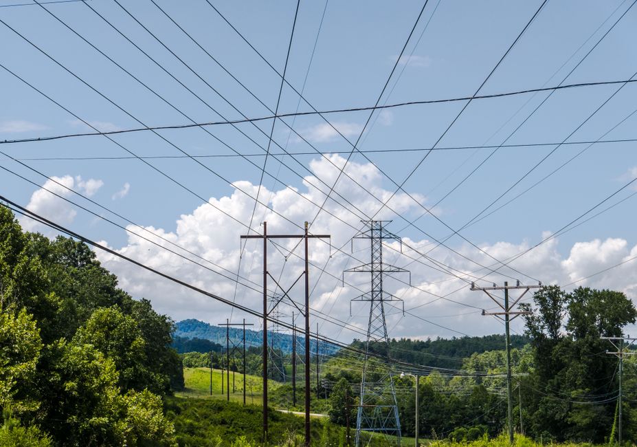 Overhead power lines crossing a lush green landscape under a bright summer sky.