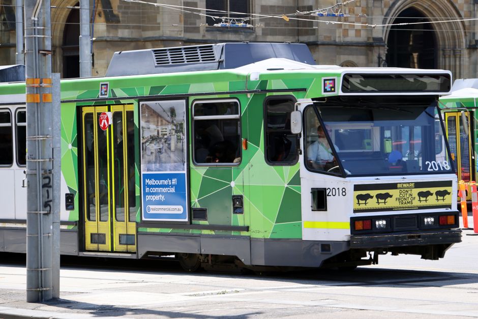A classic Melbourne tram in vibrant green traversing the city streets against an urban backdrop.