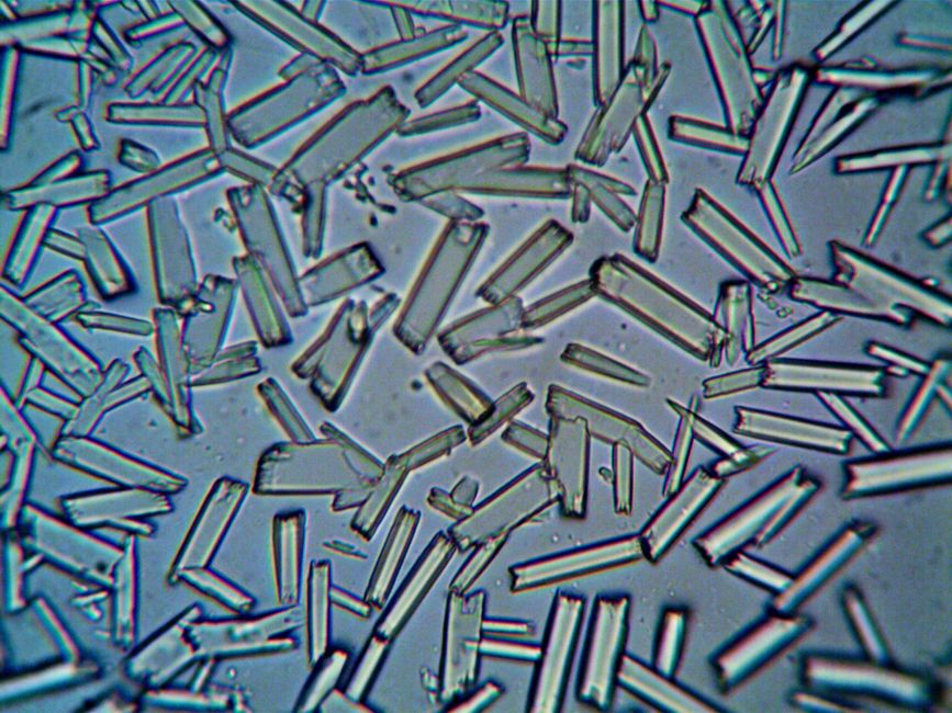 Close-up view of crystalline structures under a microscope, showcasing intricate details.