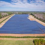 Extensive solar farm surrounded by forests in White Level, NC, showcasing renewable energy.