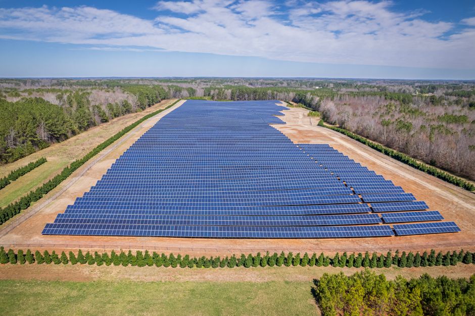 Extensive solar farm surrounded by forests in White Level, NC, showcasing renewable energy.