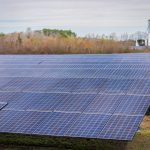 A large field of solar panels capturing renewable energy under a clear sky.