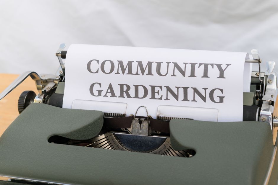 A close-up of a vintage typewriter showing the text 'Community Gardening.'