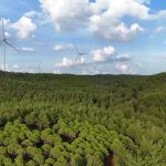 Aerial view of wind turbines amidst a vast green forest in Salihler, Çanakkale.