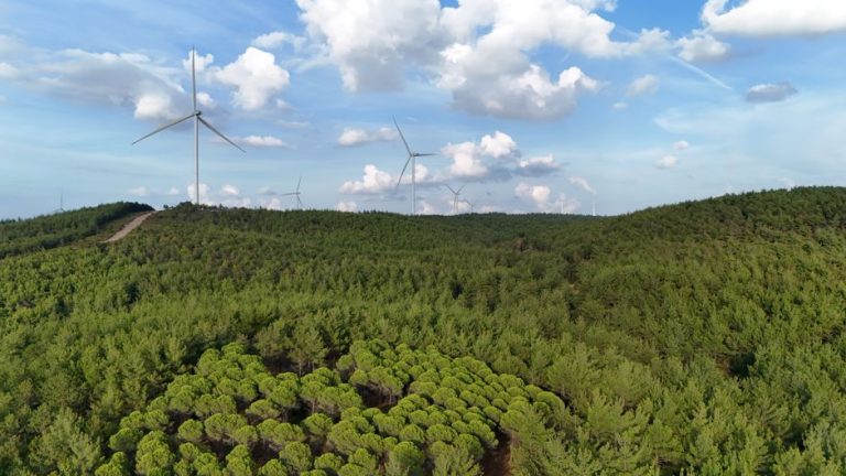 Aerial view of wind turbines amidst a vast green forest in Salihler, Çanakkale.
