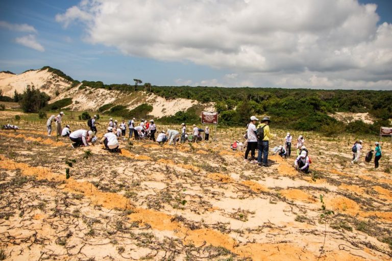 Group of volunteers participating in a tree planting event on sandy terrain in Phan Thiết, Vietnam.