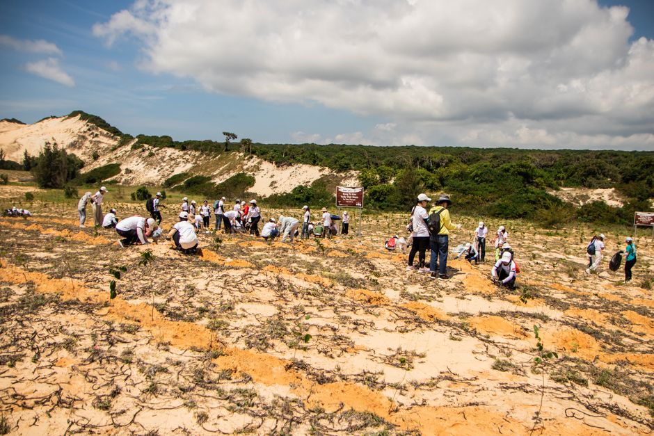 Group of volunteers participating in a tree planting event on sandy terrain in Phan Thiết, Vietnam.