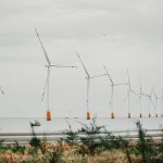 Scenic view of offshore wind turbines lined up in calm sea setting with vegetation in foreground.