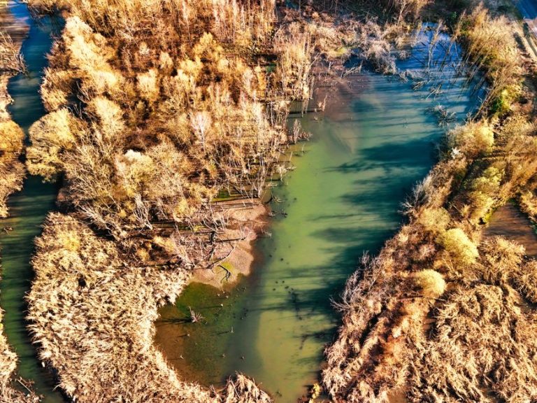 Stunning aerial shot of an autumn wetland with golden foliage and calm water reflections.