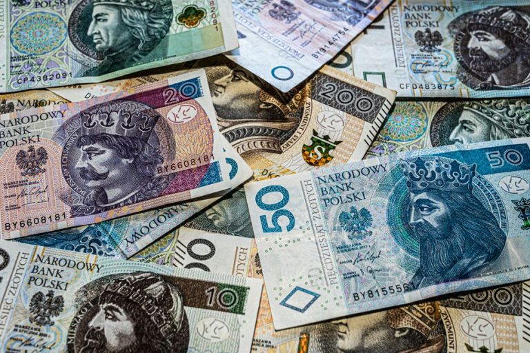 Close-up view of various Polish Zloty banknotes showcasing intricate designs.