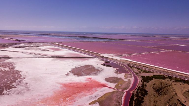 Aerial shot of vibrant pink salt pans in Camargue, Provence, showcasing the stunning contrast and unique landscape.