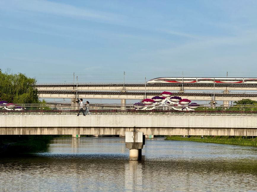 High-speed train crossing elevated tracks over the river with a scenic view in Shanghai.
