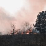 Smoke and flames engulf the forest in Kyiv Oblast, highlighting the threat of wildfires.