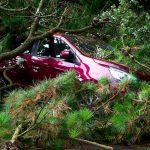 A red car trapped under fallen trees, showcasing the aftermath of a storm.