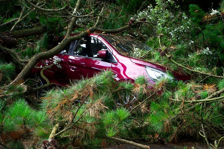 A red car trapped under fallen trees, showcasing the aftermath of a storm.