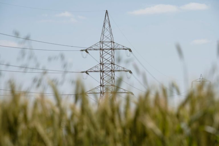 A transmission tower standing in a rural wheat field, symbolizing energy and agriculture.
