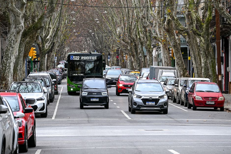 Traffic on a tree-lined street in Montevideo, Uruguay, featuring a public bus and cars.