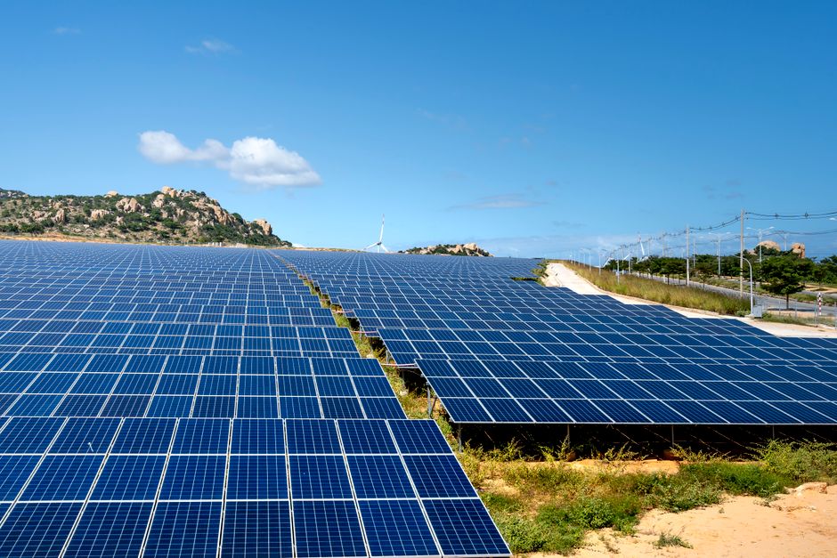 A vast array of solar panels under a clear blue sky, symbolizing renewable energy and sustainability.