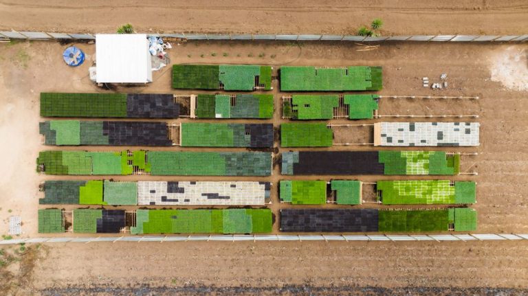 Top-down view of organized green agricultural plots and structures.