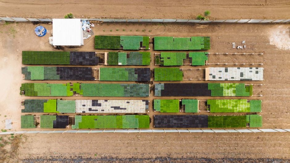 Top-down view of organized green agricultural plots and structures.