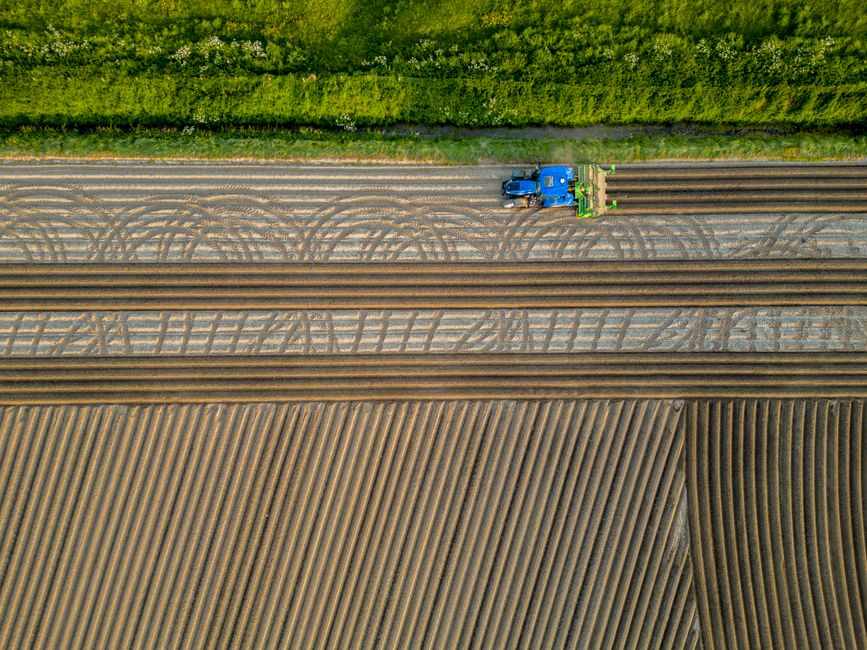 Drone shot capturing a blue tractor plowing expansive farmland in Breskens, Netherlands with vibrant patterns.
