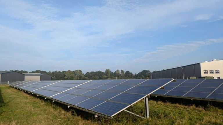Solar panels in a Ratzeburg field, capturing renewable energy on a clear day.