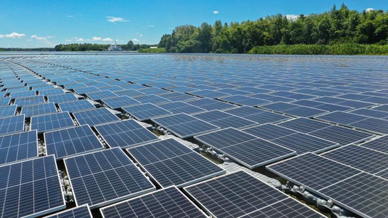 A large array of floating solar panels on a tranquil water surface with lush trees in the background.