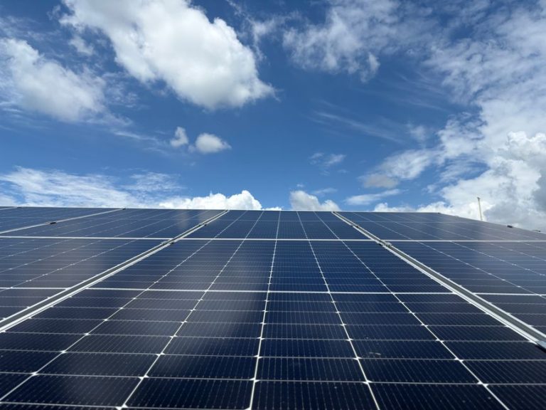 Solar panels generating renewable energy beneath a clear blue sky in Dehradun, India.