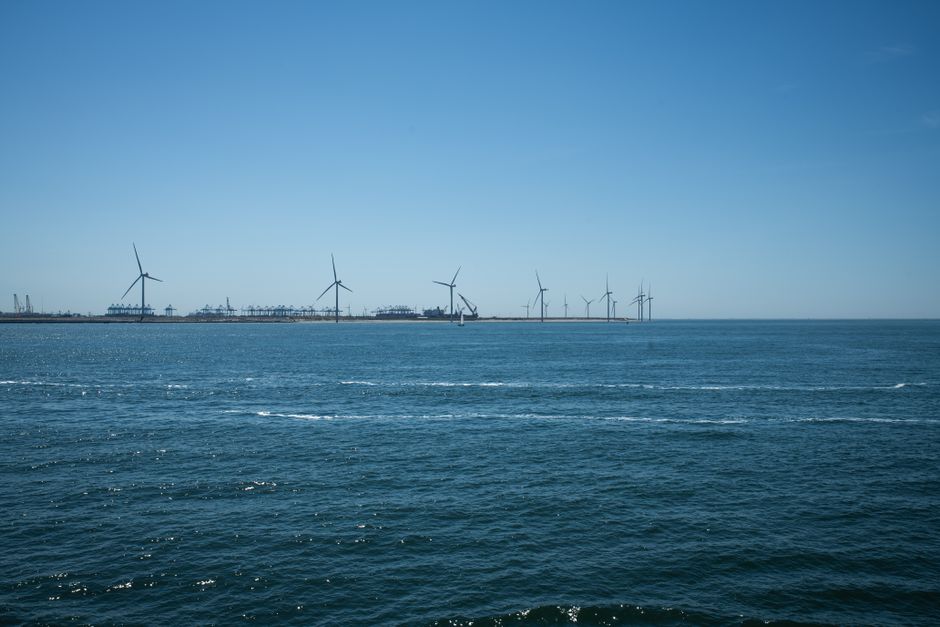 Wide view of an offshore wind farm against a clear blue sky and calm sea.