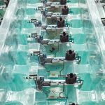 Detailed view of organized electronic circuit boards in a production setting.