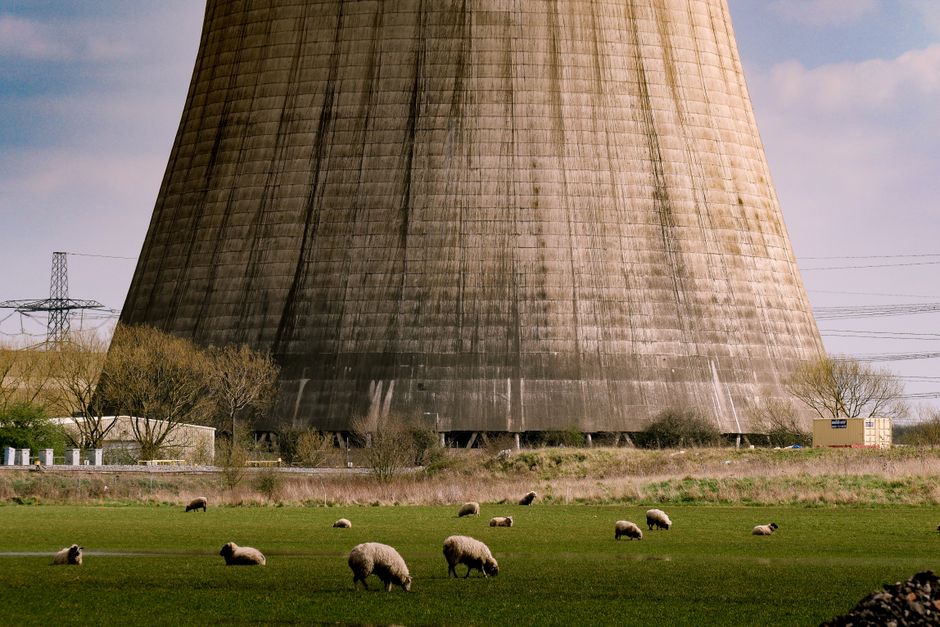 Sheep grazing in a green field with a power plant cooling tower in the background, UK countryside scene.